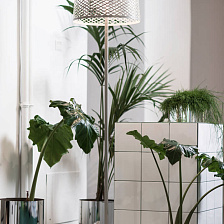 Торшер для улицы Twiggy Grid от Foscarini