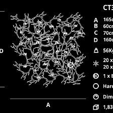 Люстра Coral CT3394/20 от Serip